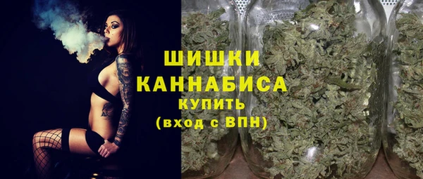 стафф Надым