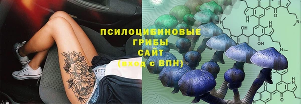стафф Надым