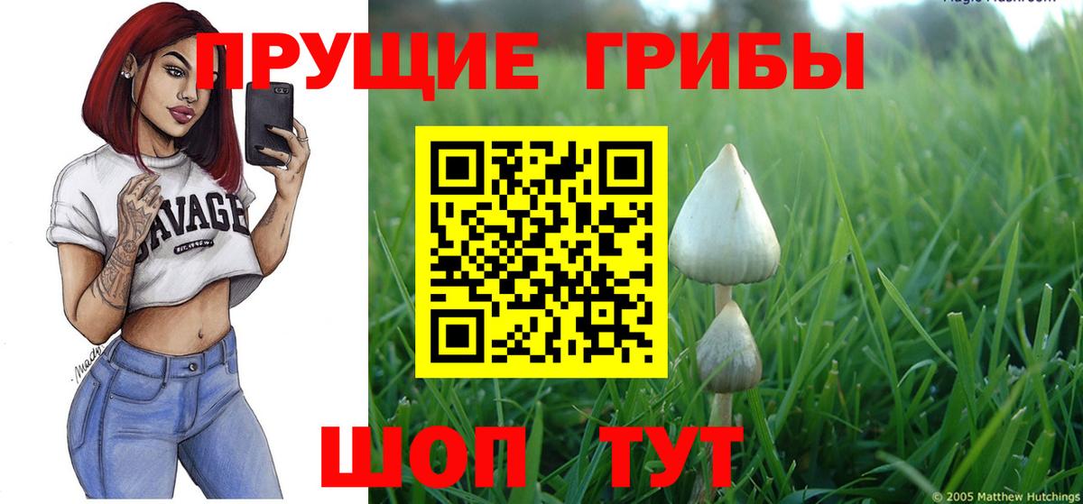 Галлюциногенные грибы Psilocybine cubensis  купить наркоту  Каспийск  Вход с VPN 